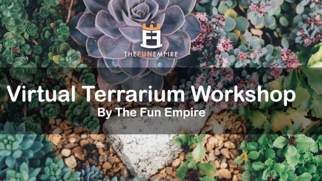 Virtual Terrarium Workshop 